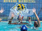 Photo from the gallery "San Marin vs. Pinole Valley"