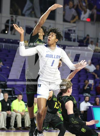Thumbnail 3 in Mountain Brook vs. Archbishop Molloy (City of Palms Classic) photogallery.