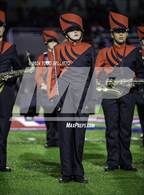 Photo from the gallery "Palmetto @ Manatee"