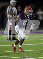 Photo from the gallery "Palmetto @ Manatee"