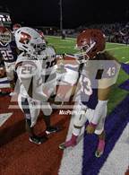 Photo from the gallery "Palmetto @ Manatee"