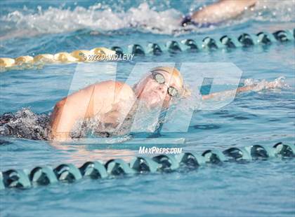 Thumbnail 1 in AIA D1 Swim Finals photogallery.