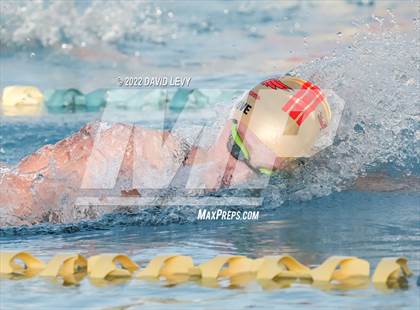 Thumbnail 2 in AIA D1 Swim Finals photogallery.