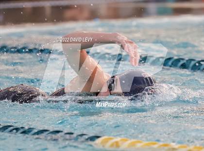 Thumbnail 2 in AIA D1 Swim Finals photogallery.