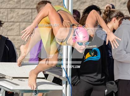 Thumbnail 2 in AIA D1 Swim Finals photogallery.
