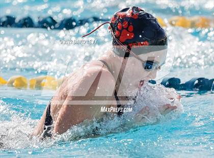 Thumbnail 2 in AIA D1 Swim Finals photogallery.