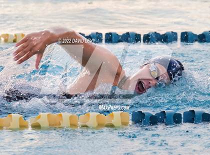 Thumbnail 3 in AIA D1 Swim Finals photogallery.