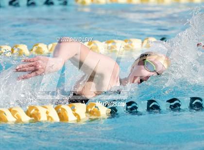 Thumbnail 2 in AIA D1 Swim Finals photogallery.