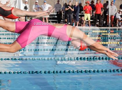 Thumbnail 3 in AIA D1 Swim Finals photogallery.