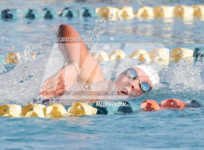 Thumbnail 1 in AIA D1 Swim Finals photogallery.