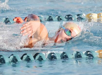 Thumbnail 3 in AIA D1 Swim Finals photogallery.