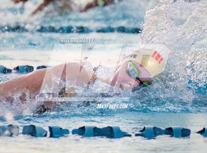 Thumbnail 1 in AIA D1 Swim Finals photogallery.