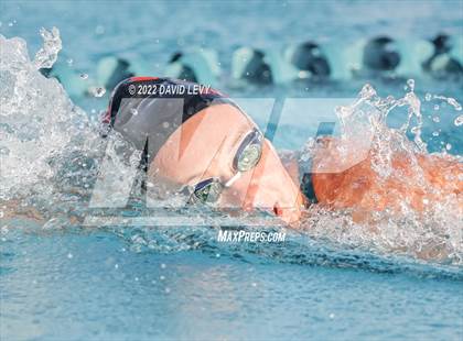 Thumbnail 2 in AIA D1 Swim Finals photogallery.