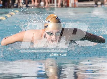 Thumbnail 1 in AIA D1 Swim Finals photogallery.