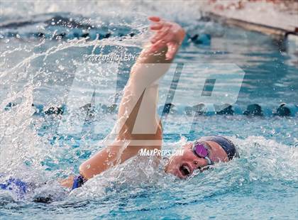 Thumbnail 1 in AIA D1 Swim Finals photogallery.
