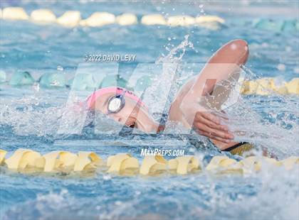 Thumbnail 1 in AIA D1 Swim Finals photogallery.