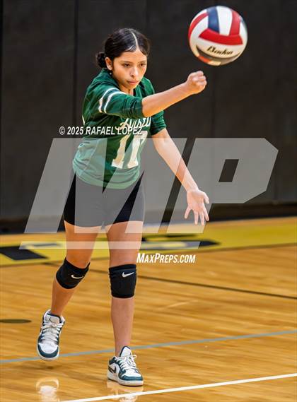 Thumbnail 3 in FR: Austin @ Galena Park photogallery.