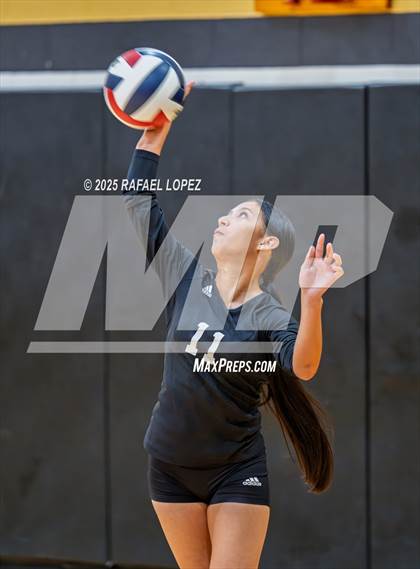 Thumbnail 1 in FR: Austin @ Galena Park photogallery.