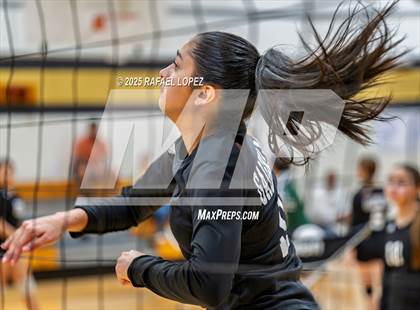 Thumbnail 3 in FR: Austin @ Galena Park photogallery.