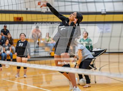 Thumbnail 3 in FR: Austin @ Galena Park photogallery.