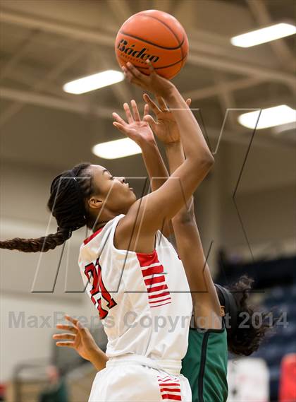 Thumbnail 3 in Waxahachie @ Mansfield Legacy photogallery.