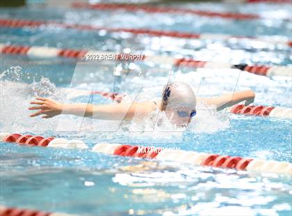 Thumbnail 2 in CHSAA 3A Girls Swim - State Championship photogallery.