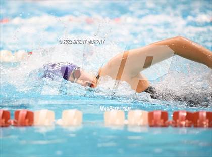 Thumbnail 2 in CHSAA 3A Girls Swim - State Championship photogallery.