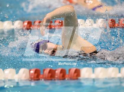 Thumbnail 1 in CHSAA 3A Girls Swim - State Championship photogallery.