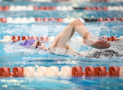 Thumbnail 3 in CHSAA 3A Girls Swim - State Championship photogallery.