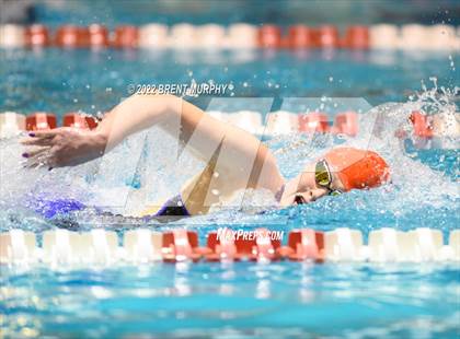 Thumbnail 1 in CHSAA 3A Girls Swim - State Championship photogallery.
