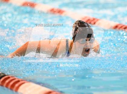 Thumbnail 1 in CHSAA 3A Girls Swim - State Championship photogallery.