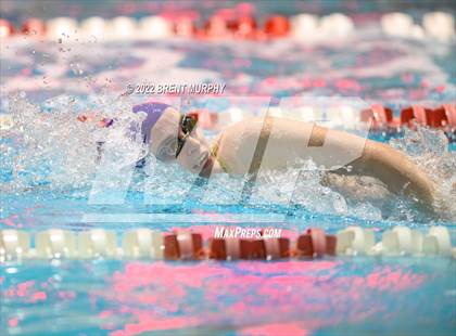 Thumbnail 1 in CHSAA 3A Girls Swim - State Championship photogallery.