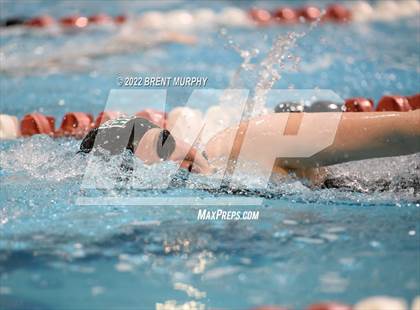 Thumbnail 3 in CHSAA 3A Girls Swim - State Championship photogallery.