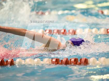Thumbnail 3 in CHSAA 3A Girls Swim - State Championship photogallery.