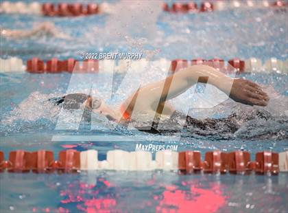 Thumbnail 3 in CHSAA 3A Girls Swim - State Championship photogallery.