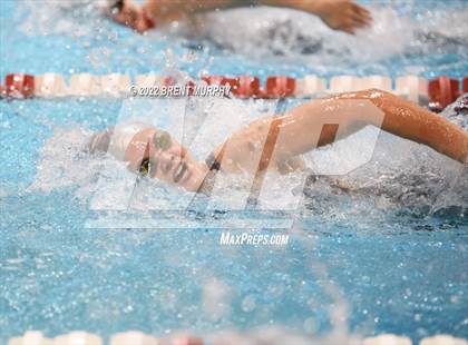 Thumbnail 2 in CHSAA 3A Girls Swim - State Championship photogallery.