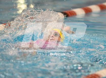 Thumbnail 2 in CHSAA 3A Girls Swim - State Championship photogallery.