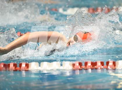 Thumbnail 1 in CHSAA 3A Girls Swim - State Championship photogallery.