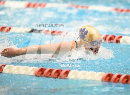 Thumbnail 1 in CHSAA 3A Girls Swim - State Championship photogallery.