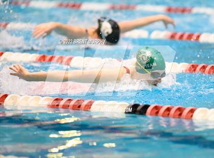 Thumbnail 2 in CHSAA 3A Girls Swim - State Championship photogallery.