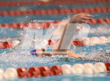Thumbnail 2 in CHSAA 3A Girls Swim - State Championship photogallery.