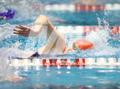 Thumbnail 3 in CHSAA 3A Girls Swim - State Championship photogallery.