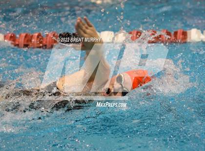 Thumbnail 2 in CHSAA 3A Girls Swim - State Championship photogallery.