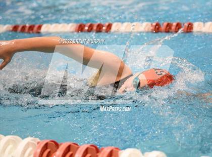 Thumbnail 1 in CHSAA 3A Girls Swim - State Championship photogallery.