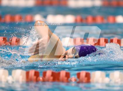 Thumbnail 1 in CHSAA 3A Girls Swim - State Championship photogallery.