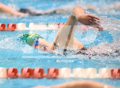 Thumbnail 1 in CHSAA 3A Girls Swim - State Championship photogallery.