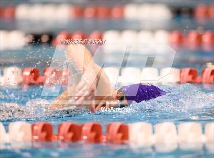 Thumbnail 1 in CHSAA 3A Girls Swim - State Championship photogallery.