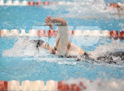 Thumbnail 3 in CHSAA 3A Girls Swim - State Championship photogallery.