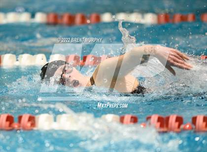 Thumbnail 1 in CHSAA 3A Girls Swim - State Championship photogallery.