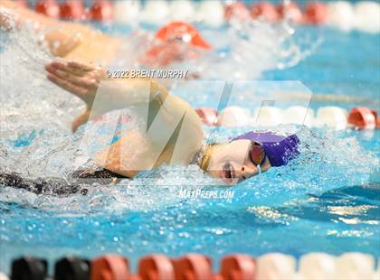 Thumbnail 3 in CHSAA 3A Girls Swim - State Championship photogallery.